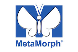 Logo MetaMorph