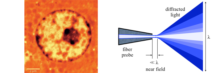 (left) Nucleus of a rat liver cell, captured with near-field scanning microscope (Image: WITec) (right) Principle of near field optics used in NSOM: to break the diffraction limit, both aperture and work distance have to be significantly smaller than the wavelength of the used light. (Image: Wikipedia, Zogdog602)