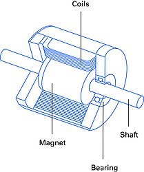Design of a BLDC and SSV motor, respectively with rotor magnet, stator winding, bearing, and motor shaft.