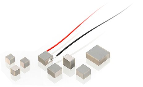 PI PL0xx PICMA® Chip Actuators