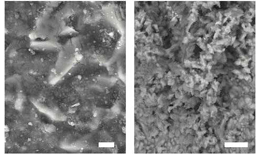 Figure 6 Scanning electron microscope (SEM) images of the runner surface. Scale bars: 2 μm (left), and 10 μm (right). Individual abraded particles can be identified (the small bright particles < 1 μm). The vast majority of particles however, form tightly stacked clusters, as can be seen in the image on the right-hand side (Image: PI)