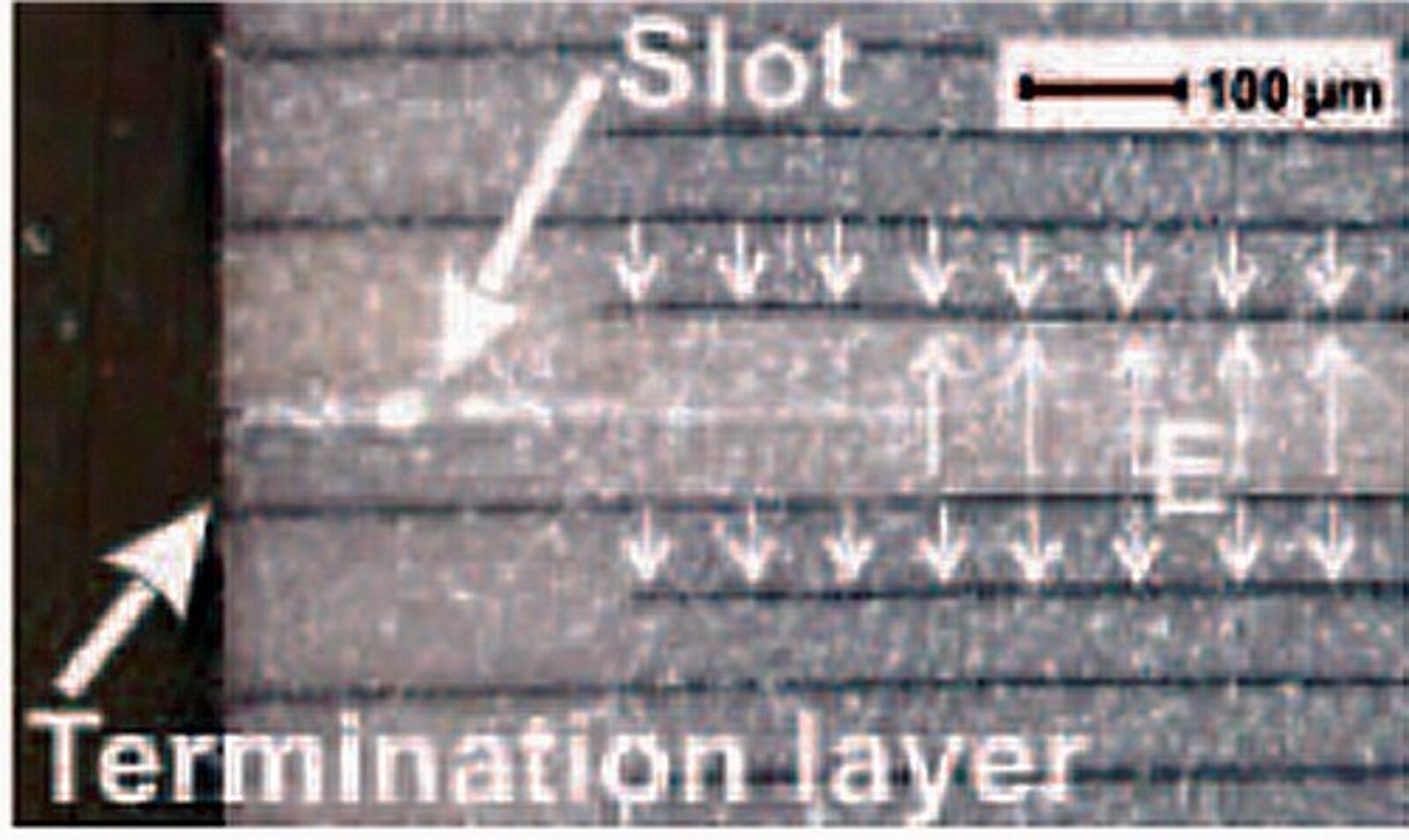 Symmetry Settle Oxidize Irradiation Tests for Piezo Actuators in SRF Cavity Tuner at LCLS II