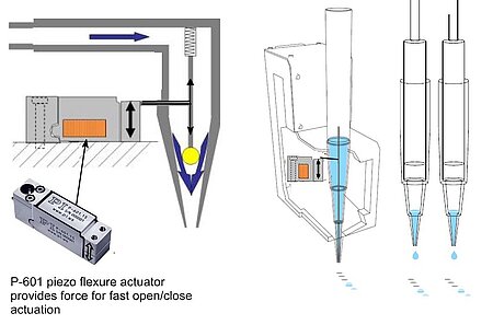 Principle design of a high-speed precision dosing valve for micro-liter to picoliter applications. Piezo mechanics are stiffer and can move faster than solenoids. Piezo flexure amplified actuators provide motion ranges of several 100µm and extremely fast mechanical response to drive signal changes in the order of milliseconds and below. The high speed combined with the virtually unlimited position resolution in the nanometer range provides advantages in open/close speed of valves and also in the dosing precision. (Image: PI)