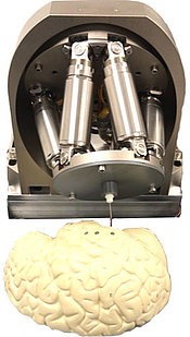 Hexapod for Brain Robotics