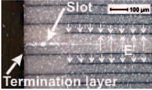 Figure 6. Patented piezo stack design with lateral slots to avoid uncontrolled expansion of micro cracks during dynamic operation (Image: PI Ceramic)