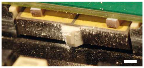 Figure 2 Motor of a PILine® M-663.5U linear stage after 19,000 hours of operation. Abraded particles accumulate on the coupling element and piezoelectric actuator due to electrostatic effects. Scale bar: 2 mm (Image: PI)