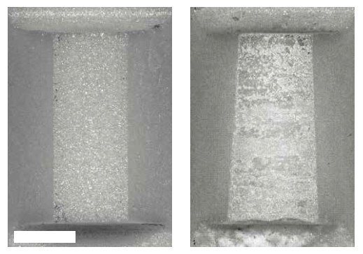 Figure 4 Top view of two coupling elements: As manufactured (left) and after 19,000 h of operation (right). The asymmetric wear (cf. width top to width bottom) results from slightly uneven alignment between the coupling element and the runner, caused by nonuniform preload and/or inhomogeneous load on the stage. On average, the height of the coupling element was reduced by approx. 60 μm during the test cycle, as determined by laser microscopy. Scale bar: 0.5 mm (Image: PI)