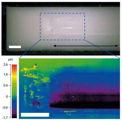 Figure 5 Top: Optical microscope image of the runner, scale bars 1 mm. In the contact area of the coupling element, signs of wear can be identified. The trajectory of the runner versus coupling element is indicated by the black arrow. Bottom: Further analysis with a laser microscope provides information on the surface profile of the runner. Accumulation of abraded material is visible on the left-hand side. The mean abrasion depth within the contact area of the coupling element can be estimated to be ≈ 1 μm (image: PI)