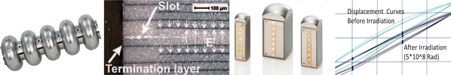 Irradiation Tests for Piezo Actuators in SRF Cavity Tuner at LCLS II