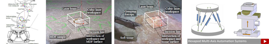 Hexapod Robots in Laser Microsurgery Research