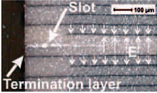 Patented piezo stack design with ceramic insulation layer (black, left) and lateral slots to avoid uncontrolled expansion of micro cracks during dynamic operation (Image: PI Ceramic)