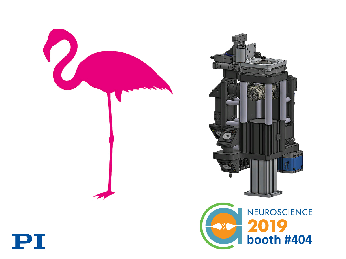 See The Flamingo Microscope Project at PI’s Booth #404